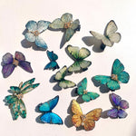 Butterfly Hair Clip Bundle Resin