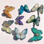 Butterfly Hair Clip Bundle Resin